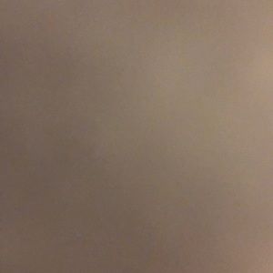 Meet your Posher, Daisey